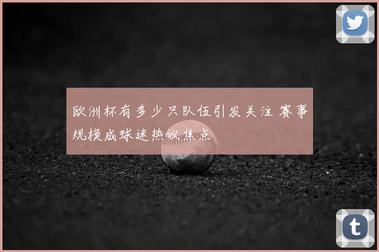 欧洲杯有多少只队伍引发关注 赛事规模成球迷热议焦点