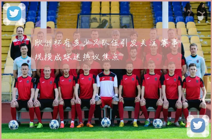 欧洲杯有多少只队伍引发关注 赛事规模成球迷热议焦点